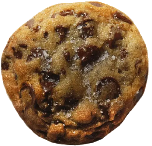 Paper Bag Cookie Co. chocolate chip cookie